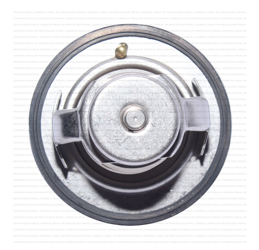 TERMOSTATO - Imagen 3